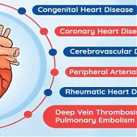 What are cardiovascular diseases?