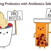 Is Taking Probiotics with Antibiotics Safe?