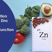 The Relation Between Zinc and Erectile Dysfunction