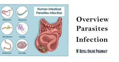 Parasitic worm infections: An Ultimate Guide